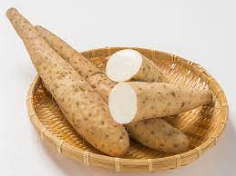 Yam root.jpg